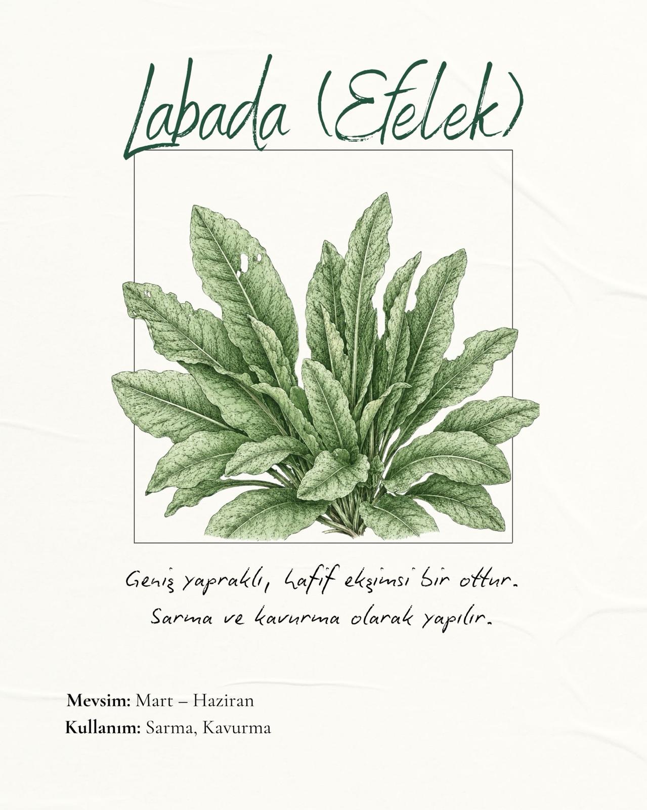 Labada (Efelek)
